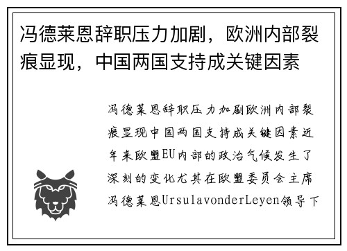 冯德莱恩辞职压力加剧，欧洲内部裂痕显现，中国两国支持成关键因素