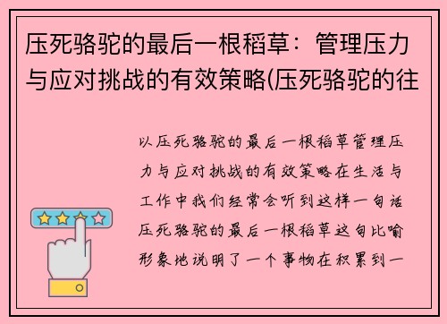 压死骆驼的最后一根稻草：管理压力与应对挑战的有效策略(压死骆驼的往往都是最后一根稻草什么意思)