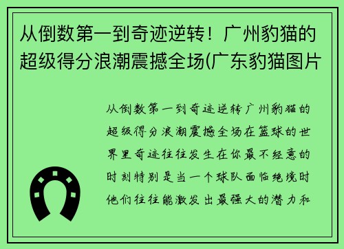 从倒数第一到奇迹逆转！广州豹猫的超级得分浪潮震撼全场(广东豹猫图片)