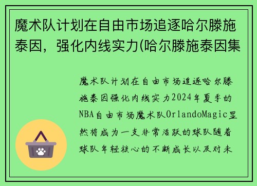 魔术队计划在自由市场追逐哈尔滕施泰因，强化内线实力(哈尔滕施泰因集锦)
